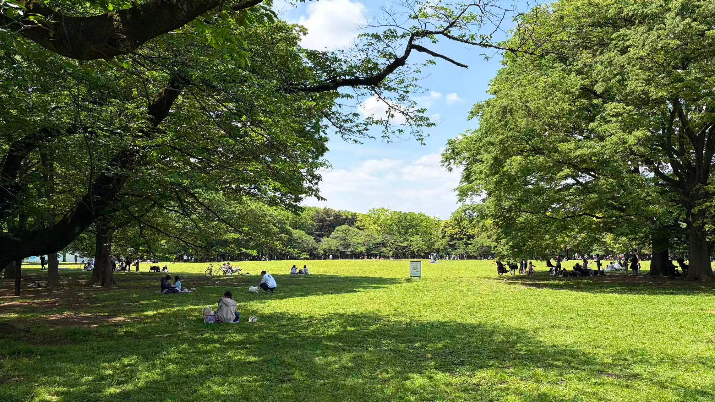 环境真不错，真惬意… 