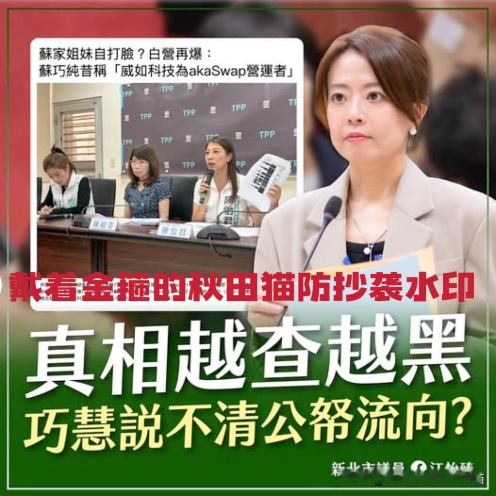 打蛇打七寸！
江怡臻新官上任、打出重拳，提出六点质疑，喊话苏巧慧：出来说清楚！