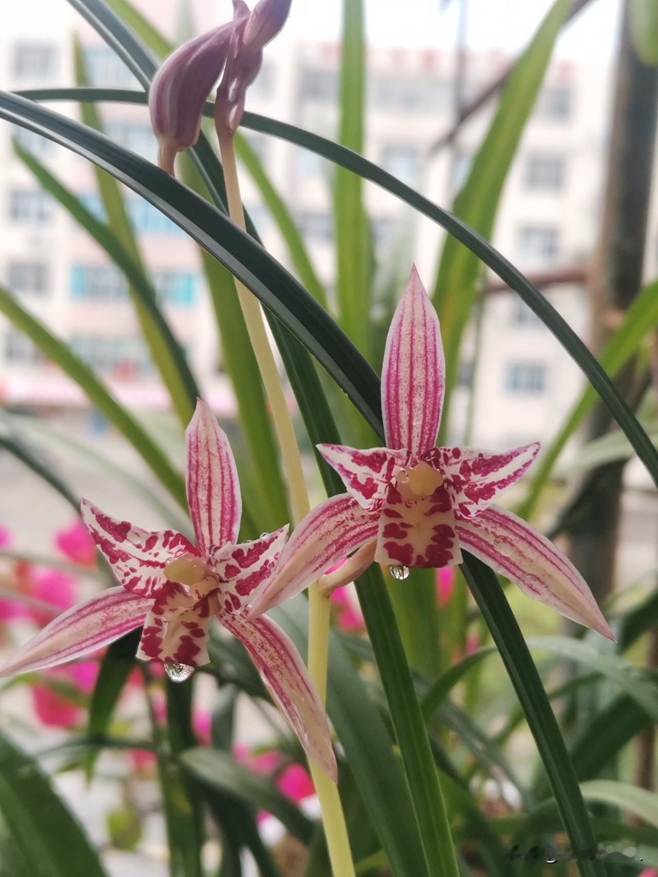 潜伏的收益
知行合一
小心谨慎操作
北交所？
只能打新套利！