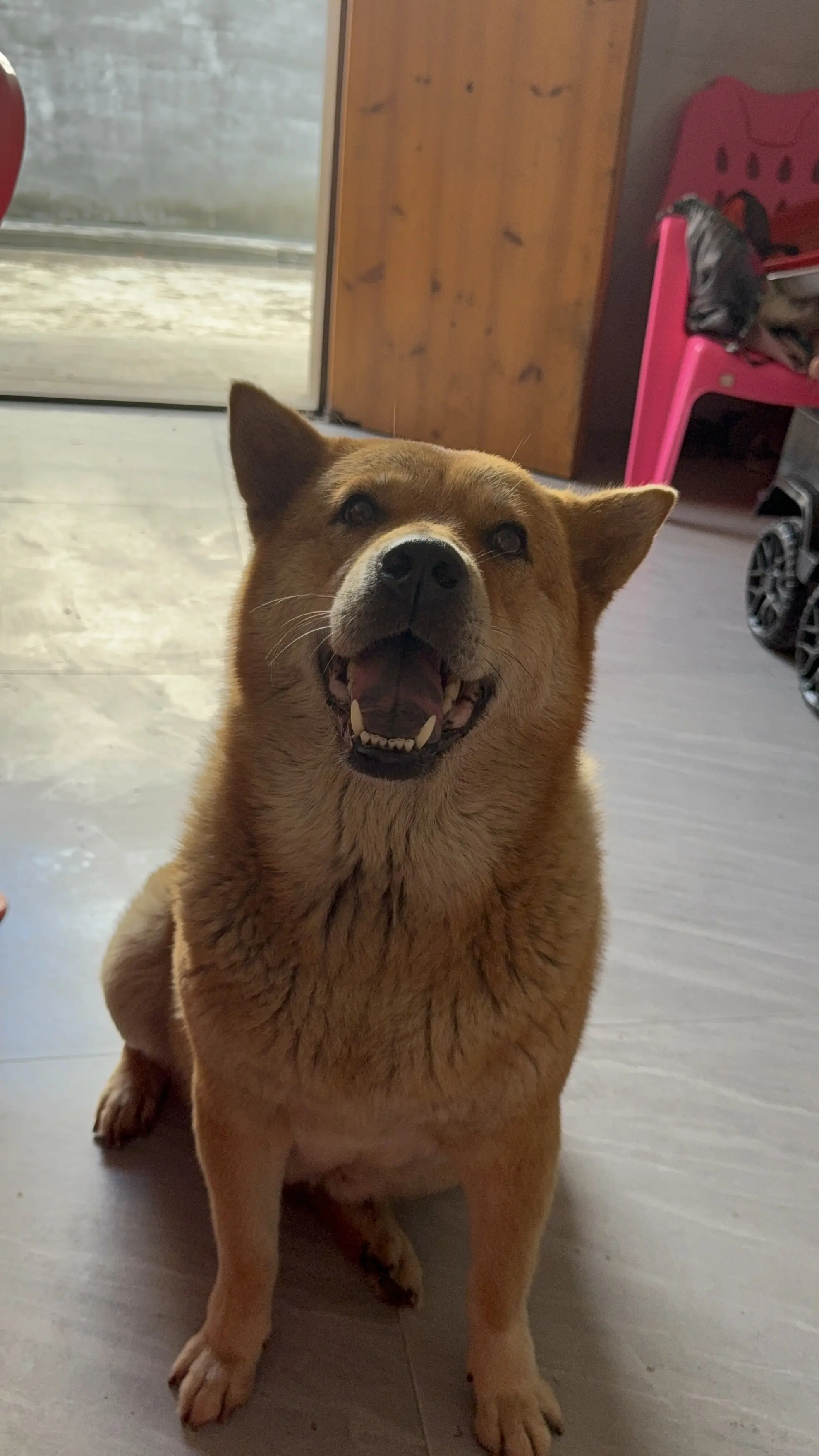 有得陪玩就开心^_^