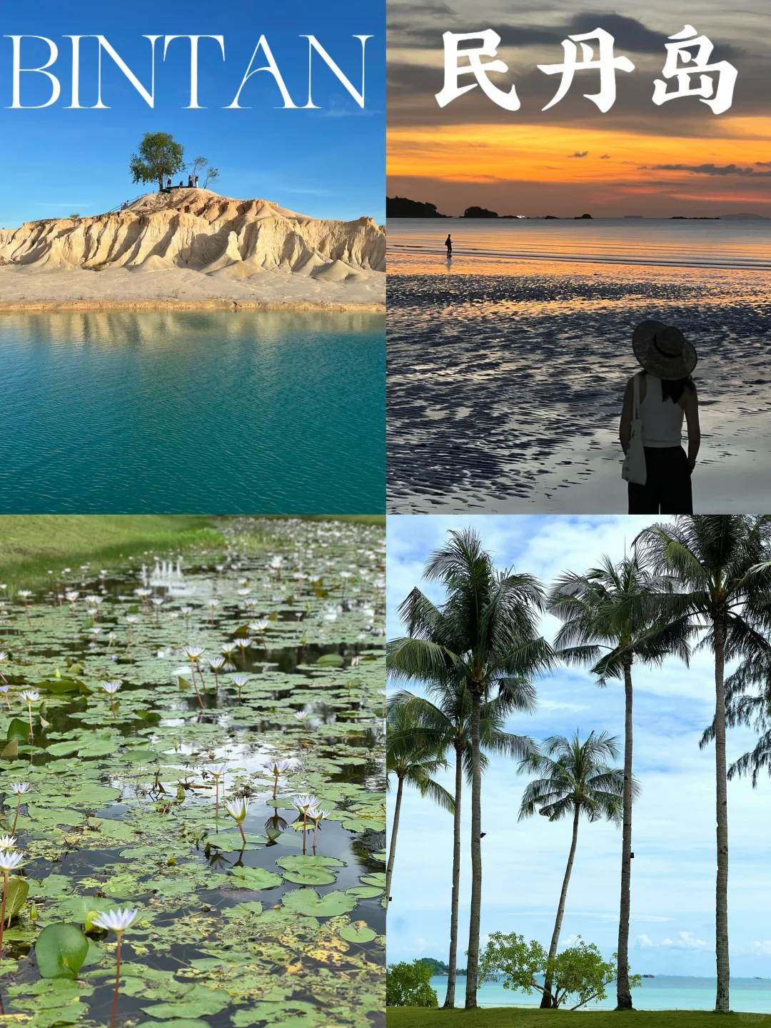 🇮🇩民丹岛Bintan｜只是新加坡居民的后花园