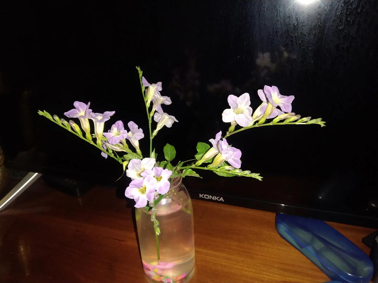 夜晚散步，
这样方可散去一天的愁闷。
顺手采把野花，
心情大好！
一周中最放松，