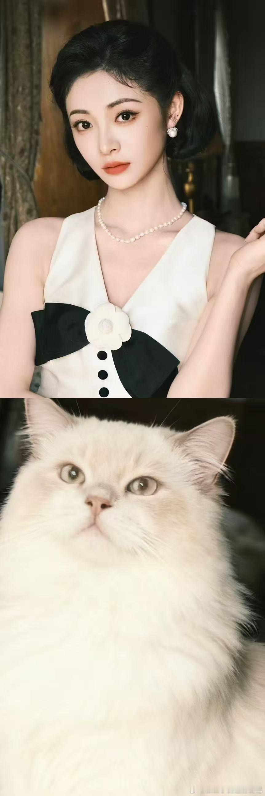 周洁琼内娱猫系美人上新了考古周洁琼，发现她就是猫猫本猫！歪嘴笑是小傲娇 ​​​