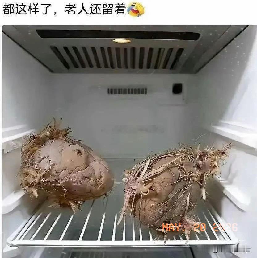 老一辈习惯节约了，其实他们没意识到，在某些情况下，产生的电费都超过了所节约它的价