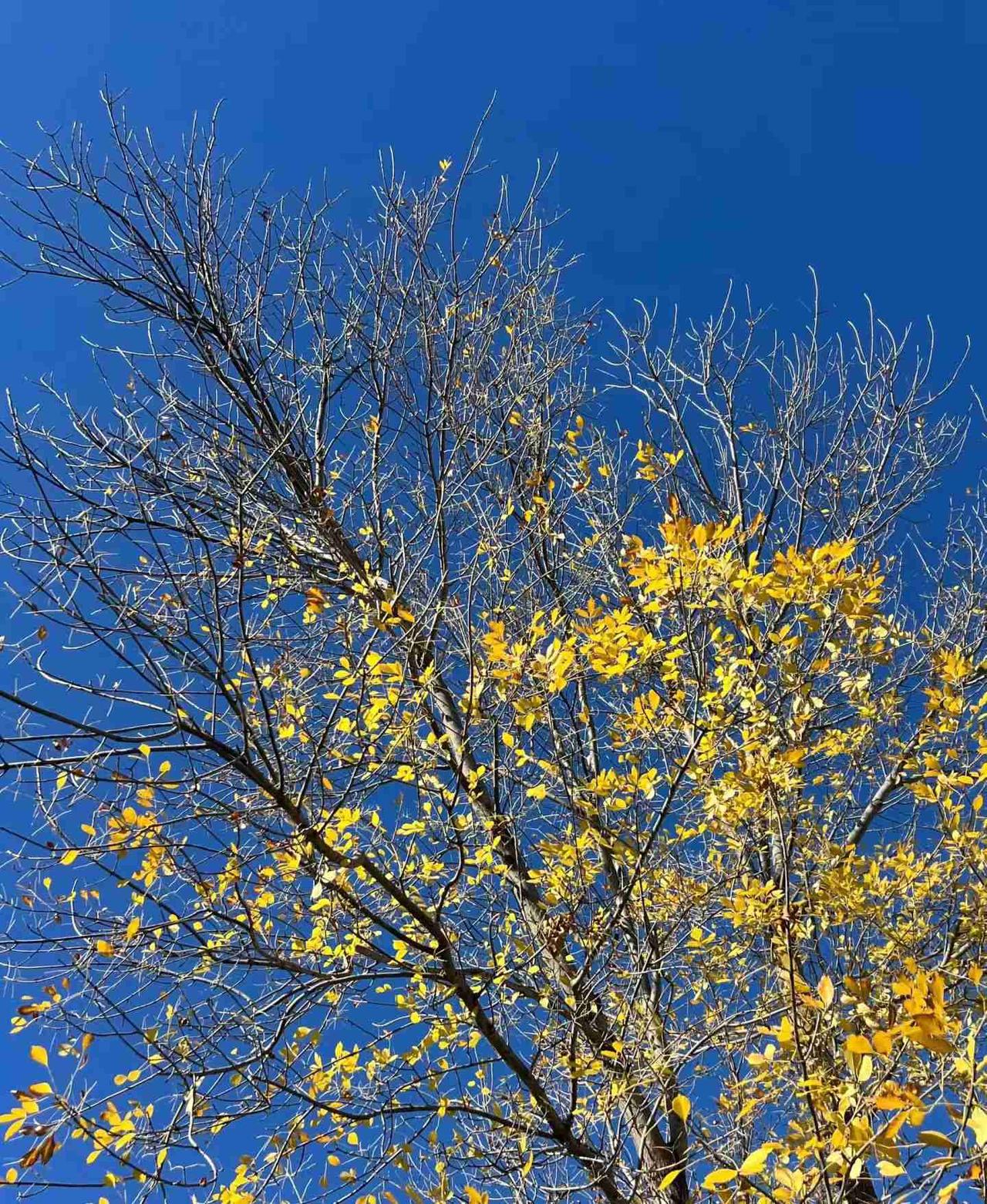 我的今日状态：😁轻松愉快
我这里的天气：☀️晴天