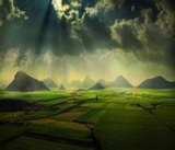 叮当影