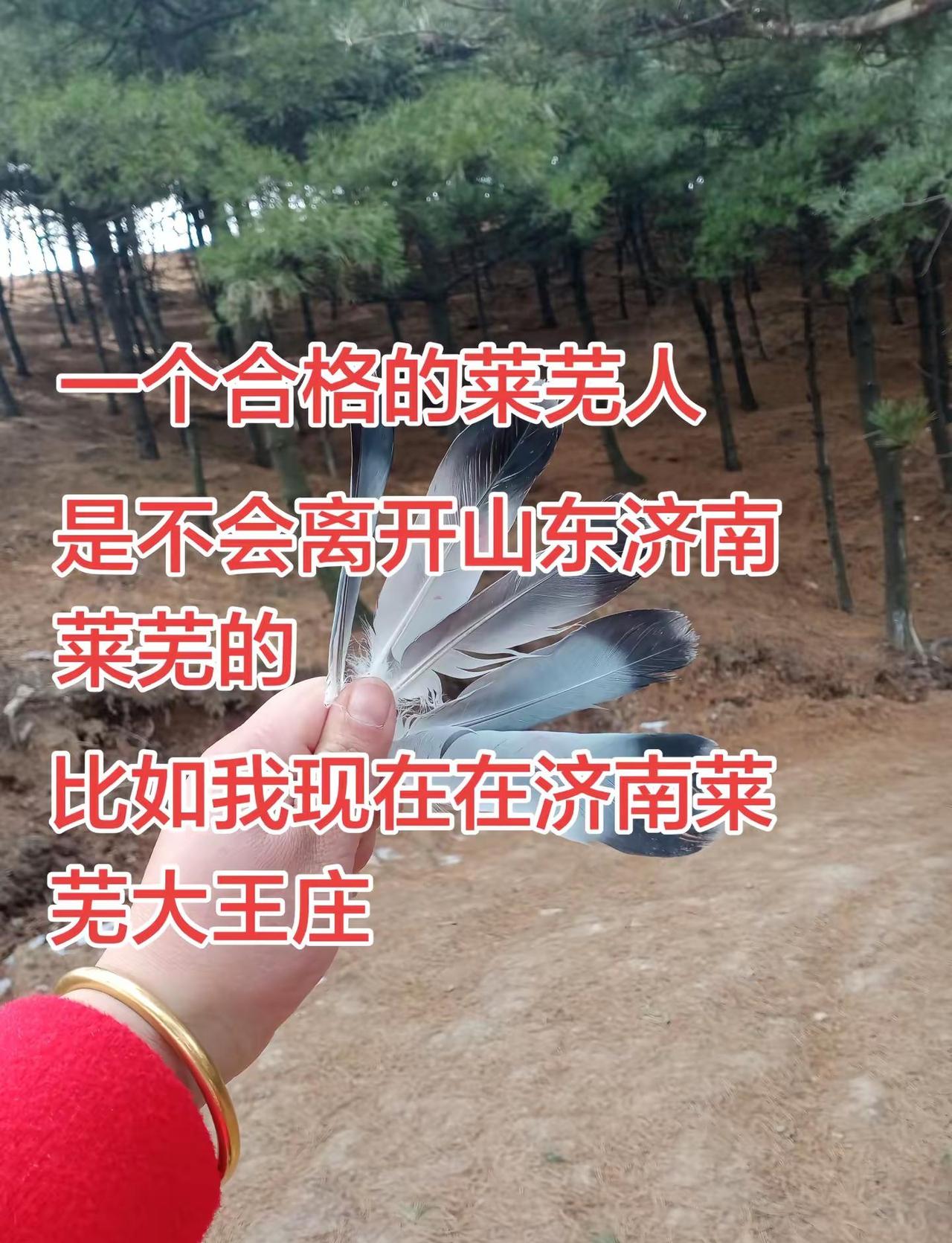 我是不会离开家乡的。随变一拍都很夯