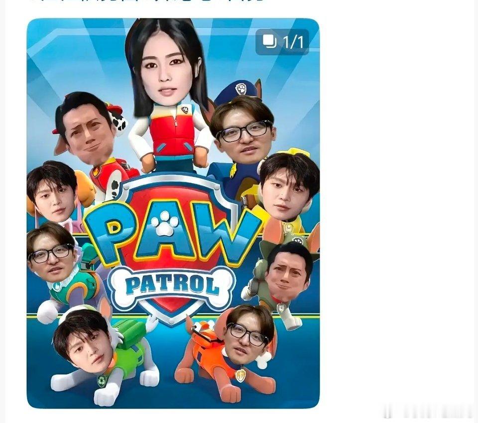 剧播前搞这一套真的不明白 让程序员下手都不好下😂 