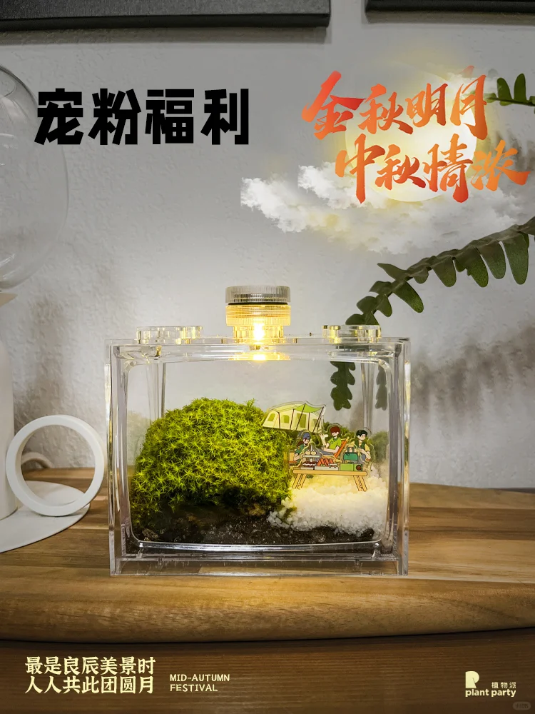 中秋团圆时，苔藓来装饰，抽奖进行时