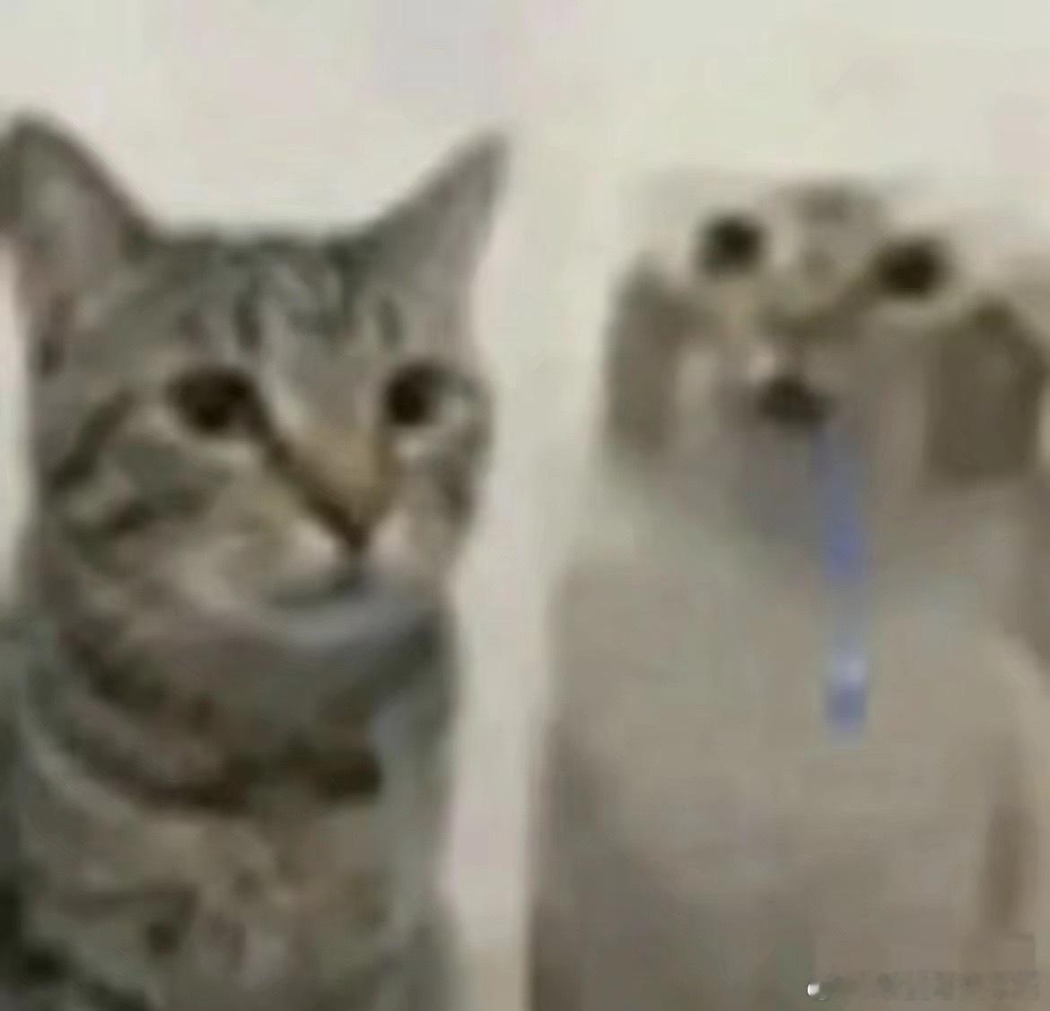 跟我玩的下场belike： 