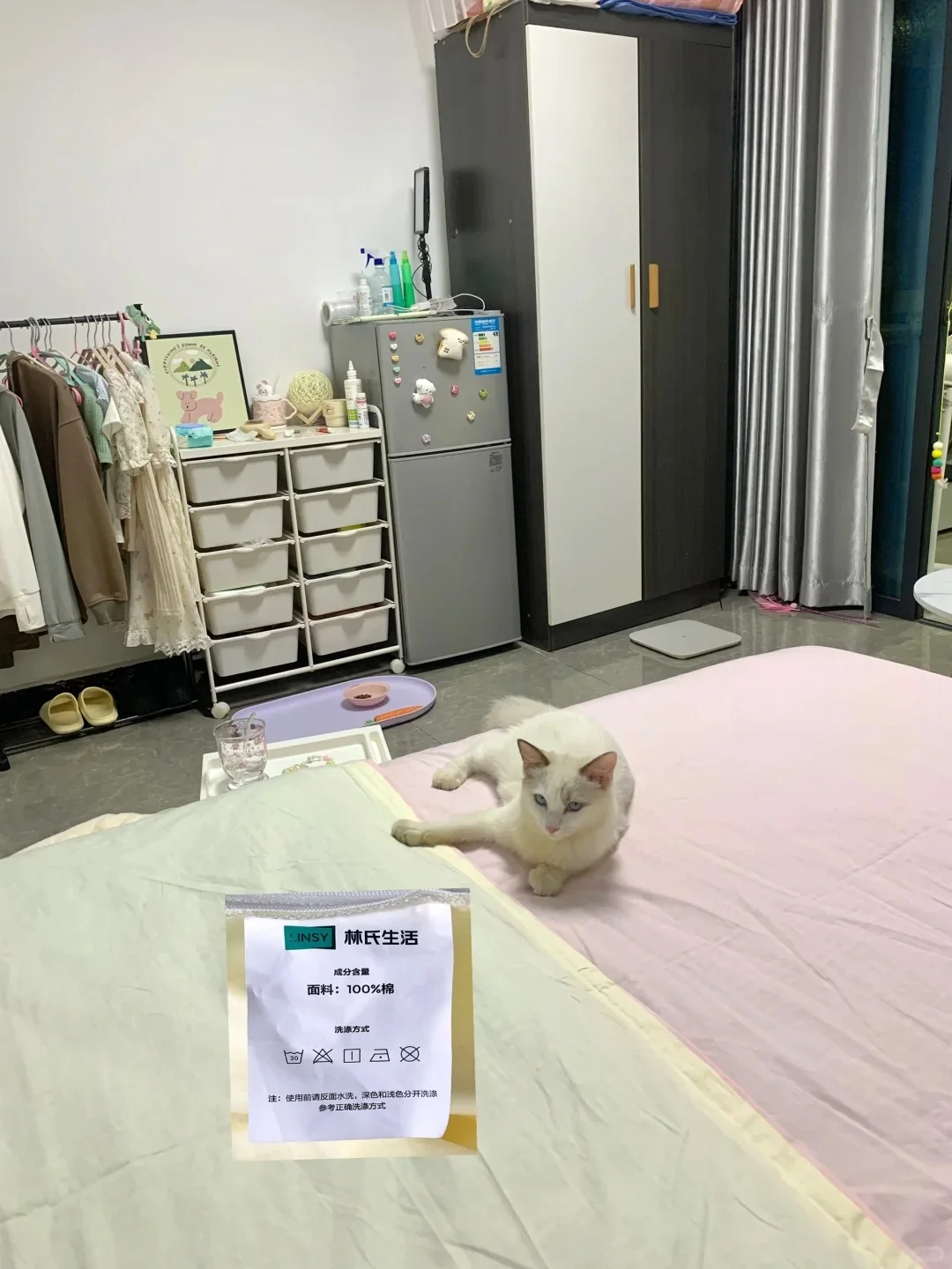 一人一猫，住在城中村的阳光小窝
