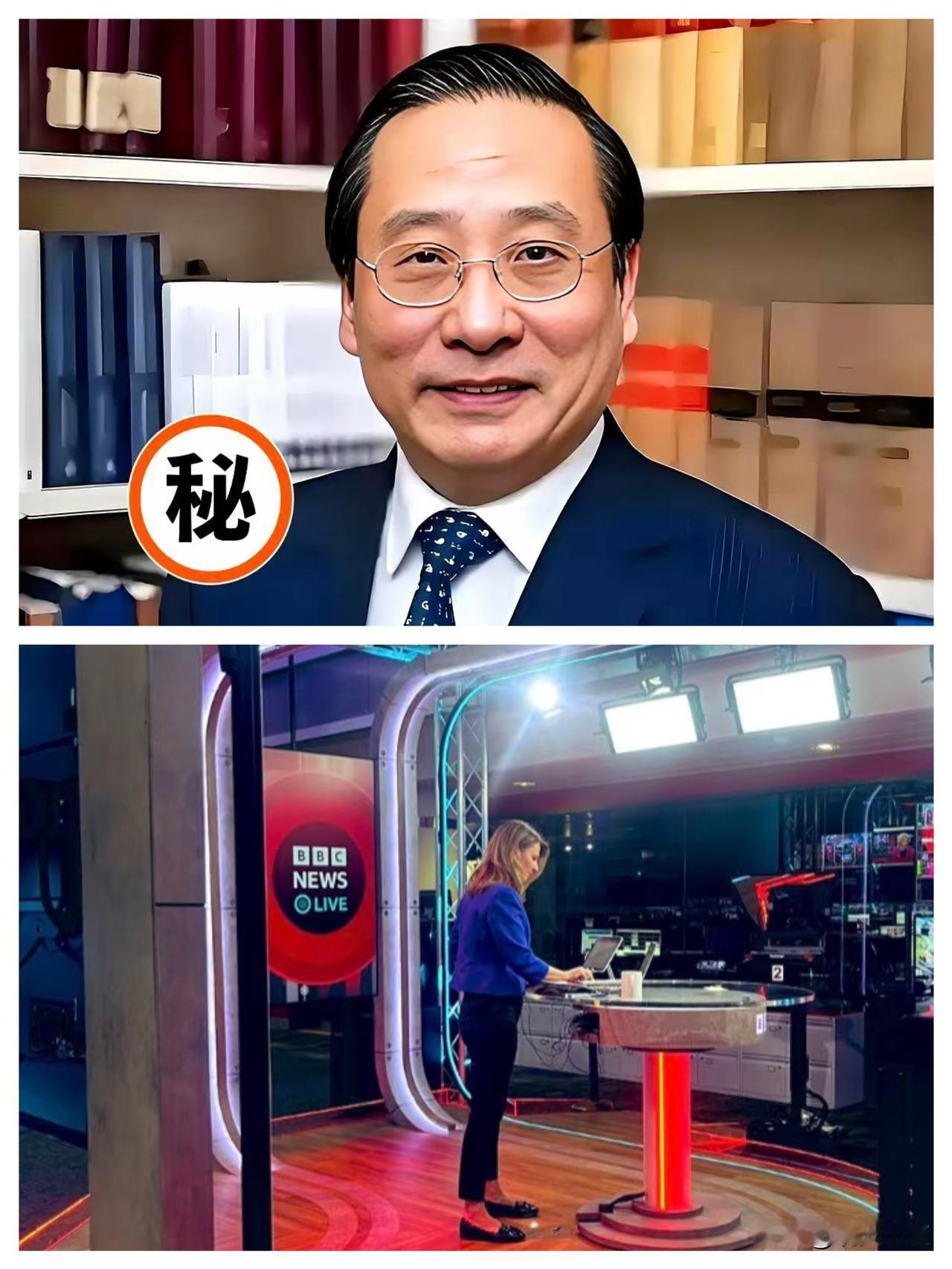 那个瞬间，我鸡皮疙瘩都起来了。
 
BBC的直播间里，对面坐着那位逃犯，高志凯却