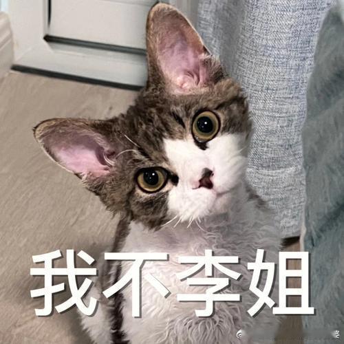 林允 速效救心丸拿着成百上千万的片酬，开拍的时候才从房车里出来，在片场戒备森严的