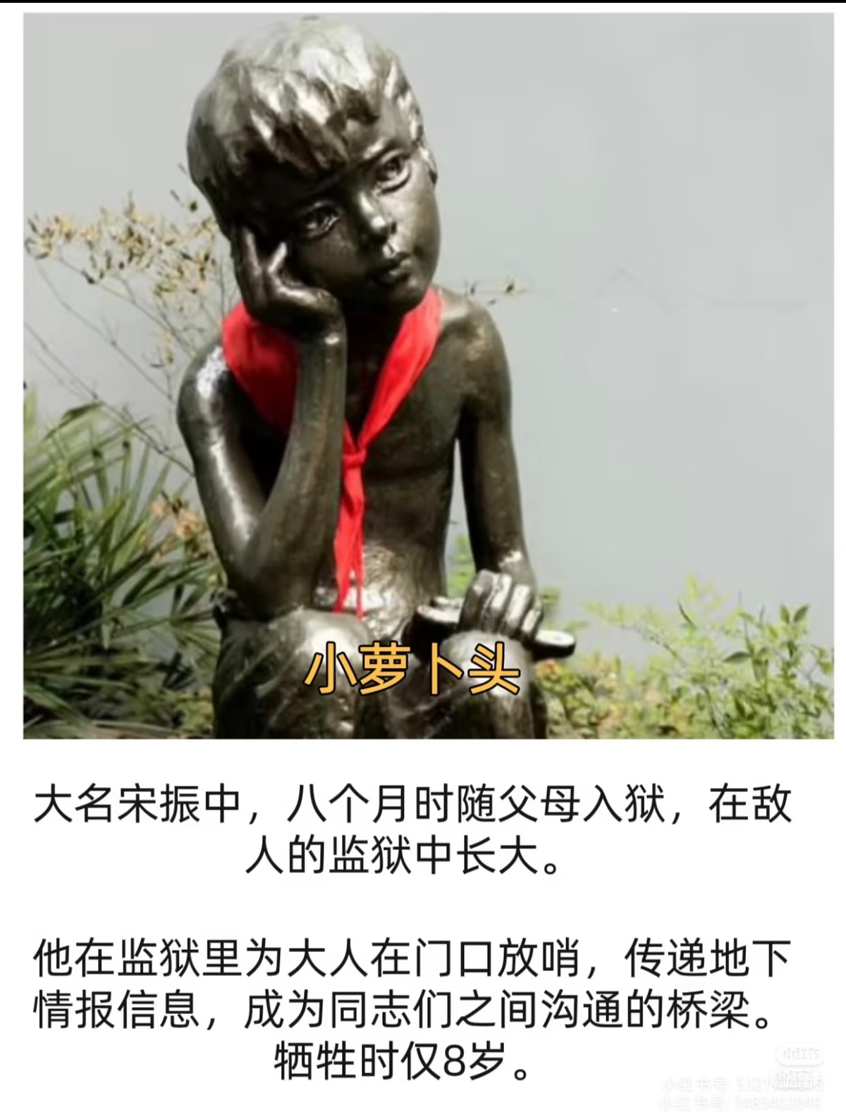 他们走的时候，也才那么小……其中有一些小英雄，我也是才刚刚认识，以这种方式认识你