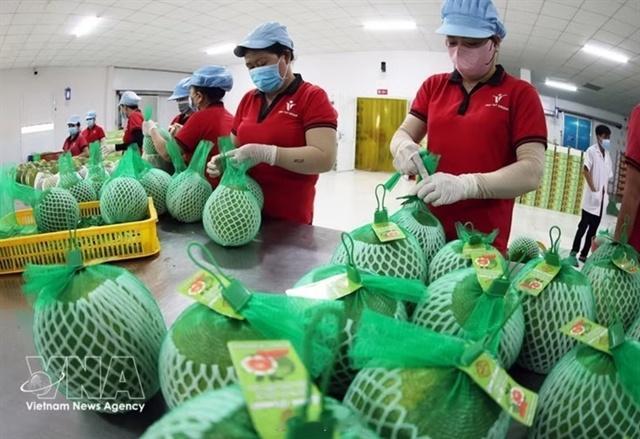 越南 上半年越南水果出口同比增长约18%2026年上半年，越南水果和蔬菜出口额达