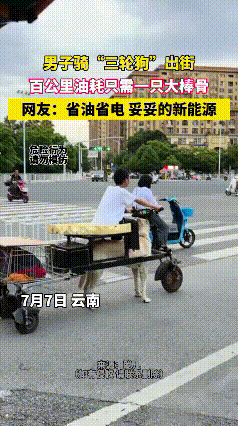三轮车见多了，
可这样的三轮狗还是第一次见，
网友：新新能源车吗？

2026年