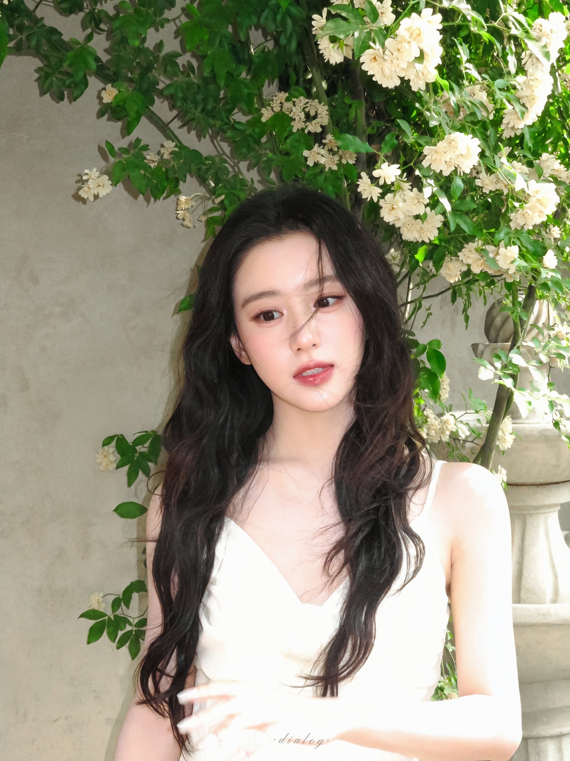 包上恩 🐰包上恩李瑶英 🐰包上恩明月千里 人在冬天，更像一只猫。去拥抱，就很
