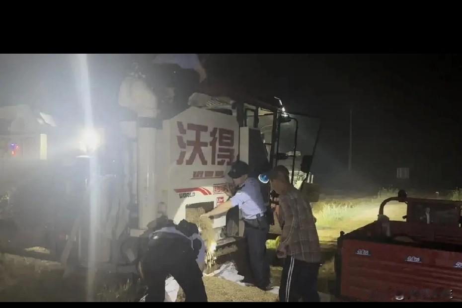 湖北麦地里再现“警民一家亲” ，警民合力收麦忙的欢喜场景 。
5月24日凌晨，襄