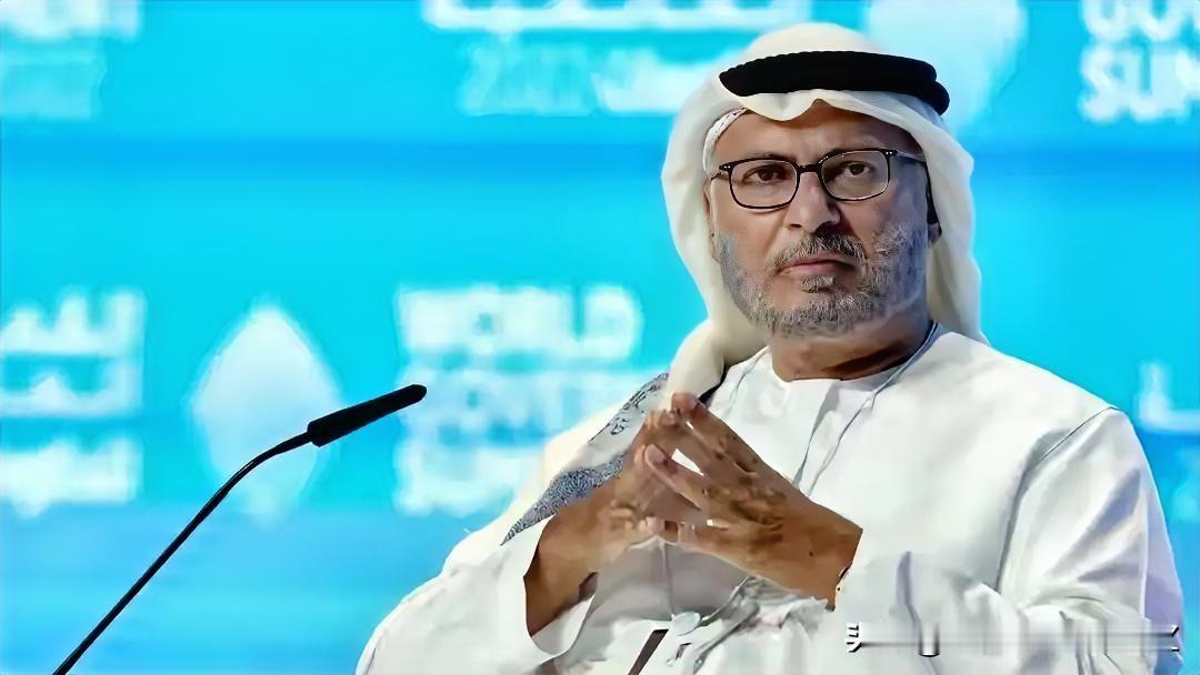 阿联酋总统外交顾问在公开论坛上直言，听到伊朗称彼此是亲爱的邻居，自己完全无法接受
