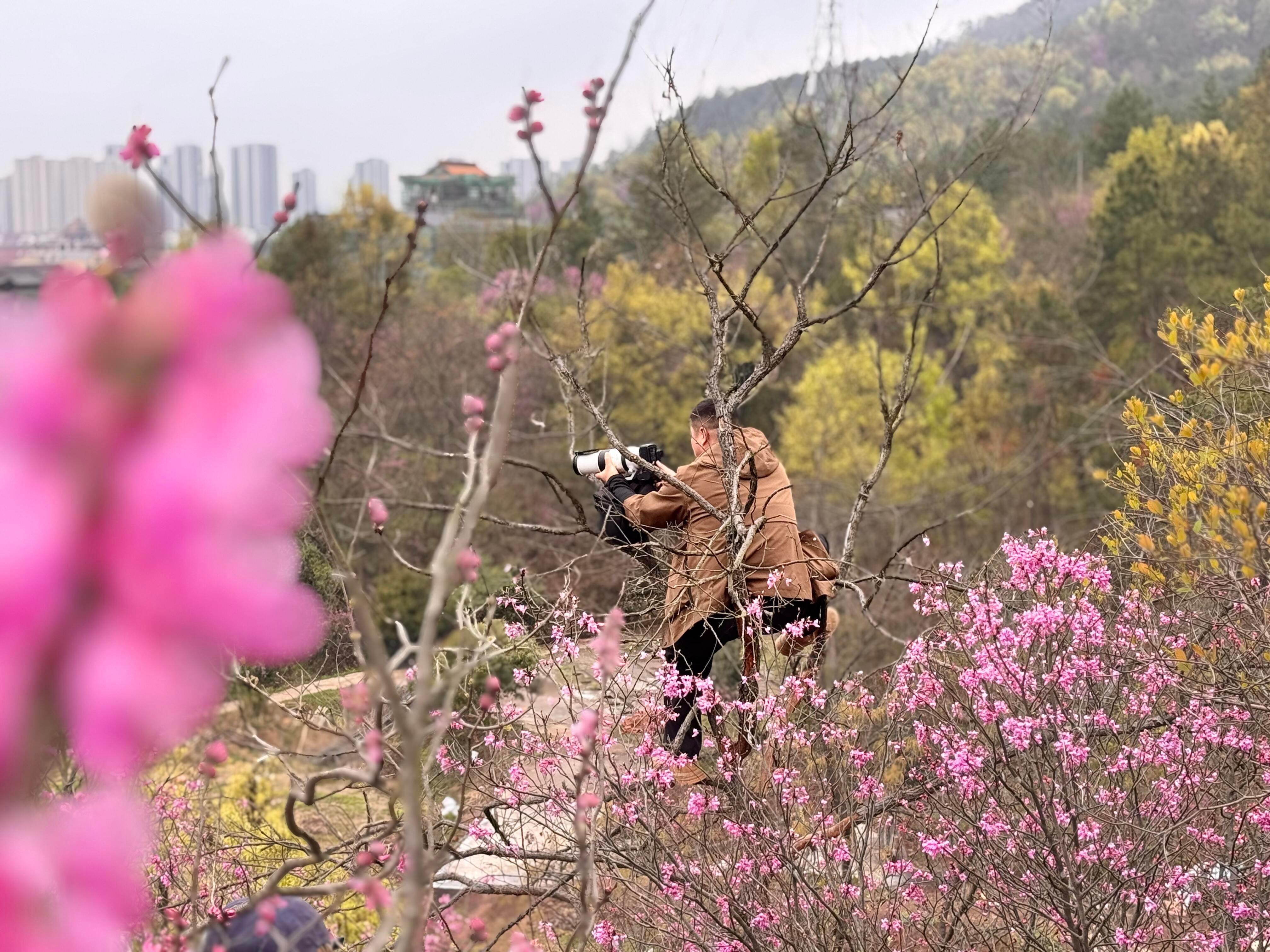 非要同舟渡的，全是代拍