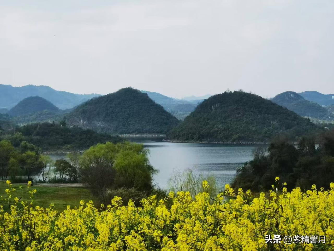 贵阳百花湖的马年春味，藏在这片五彩花海里
 
刚收假那几天，还总盯着日历算日子，