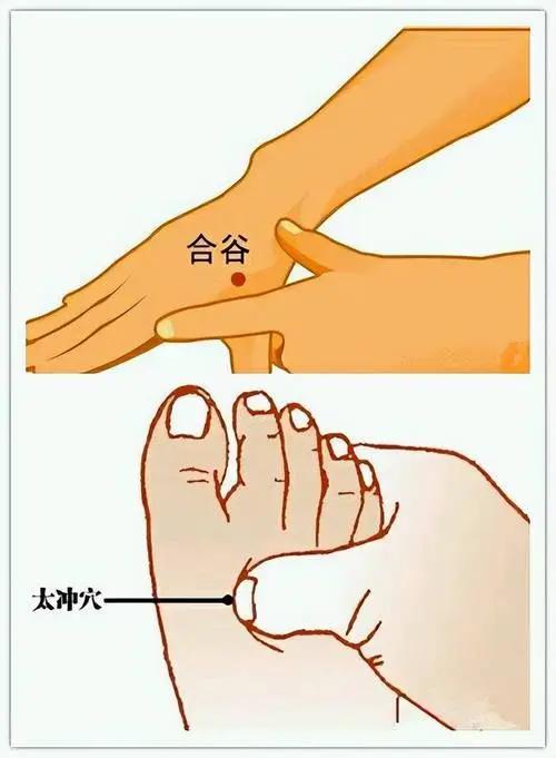 生气的朋友按好这两个穴位
现在春天了，是肝的养生季节，肝气容易生发，一不小心就容