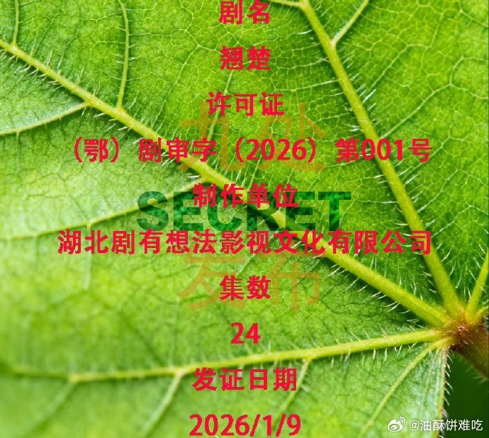 陈都灵的翘楚下证了，24集很友好的集数 