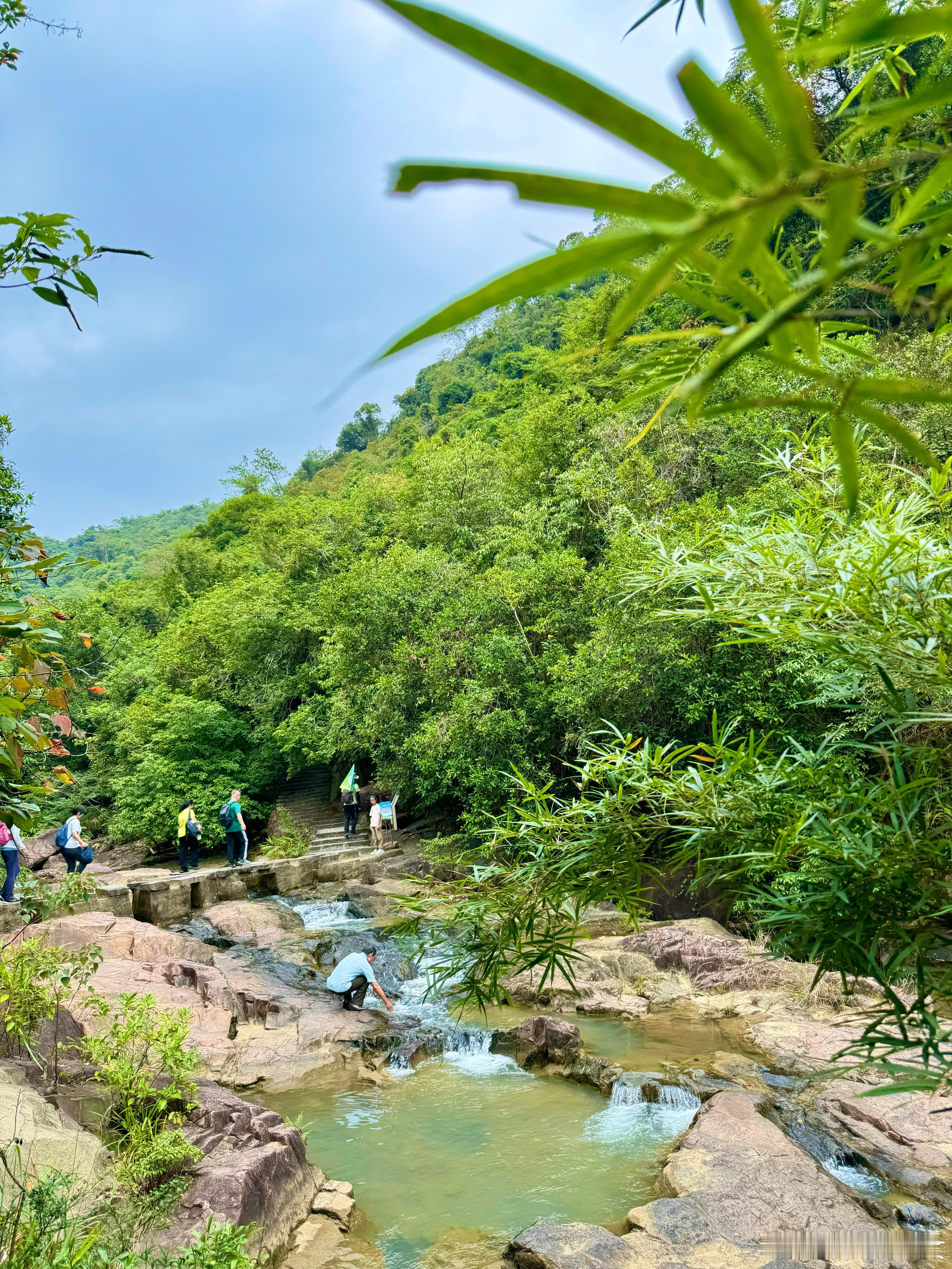 看全运顺便躲进“广州九寨沟”！增城白江湖森林公园，把森林秘境+清凉溯溪打包给你，