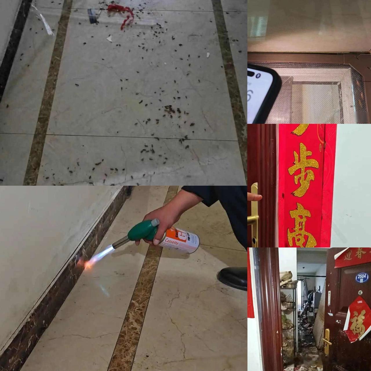 头皮发麻！
郑州一栋楼蟑螂泛滥成灾，
罪魁祸首一居民家成“垃圾场”拒不清理，
物