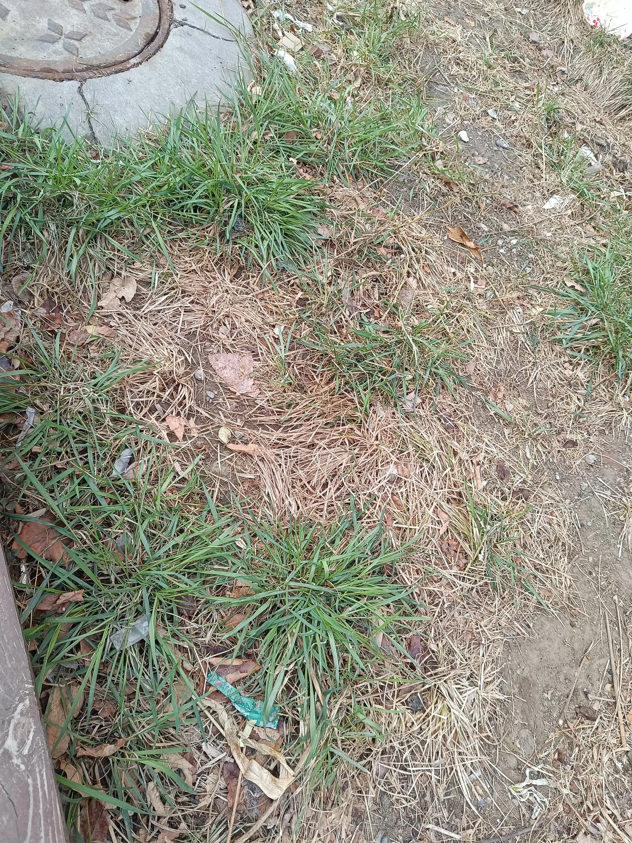 春天来了，万物复苏啊，希望今年能够找到女朋友，娶上媳妇啊！春天的美景图 风吹万物