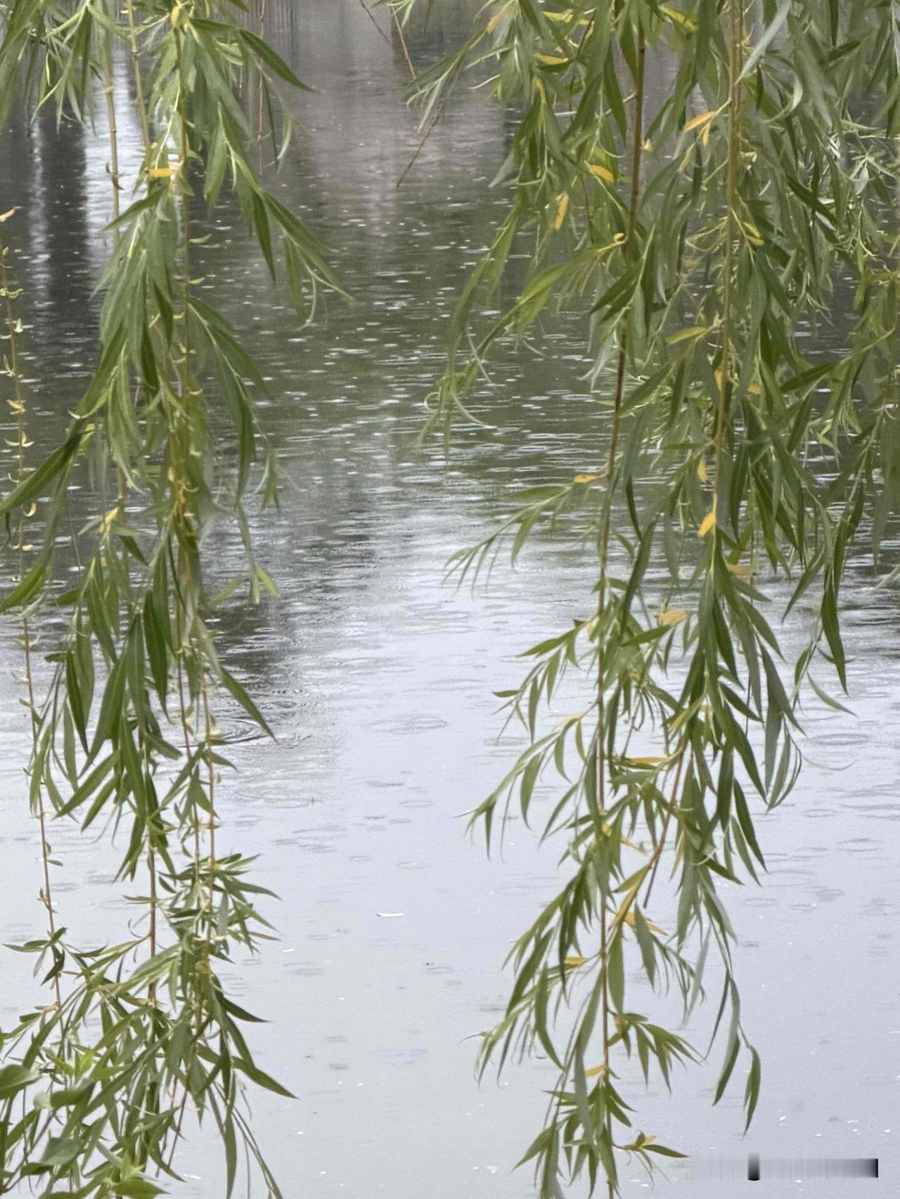 雷雨

骤雨江湖势若倾，狂飙翻作浪涛惊。
攀枝藤蔓相牵绊，向水幽禽独纵横。
今夜