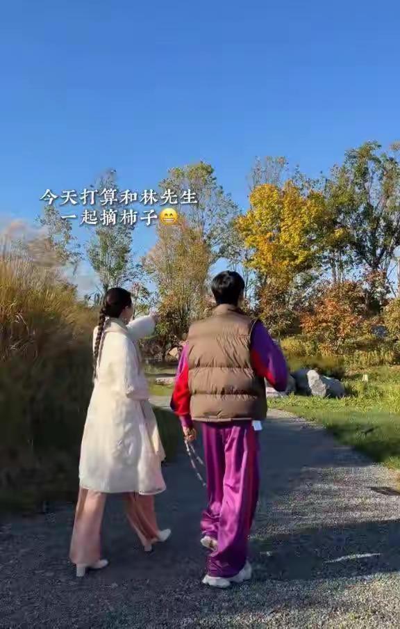 林依轮位于京郊的果园，竟然有25亩，相当于一万六千多平米，放眼望去，壮观开阔。