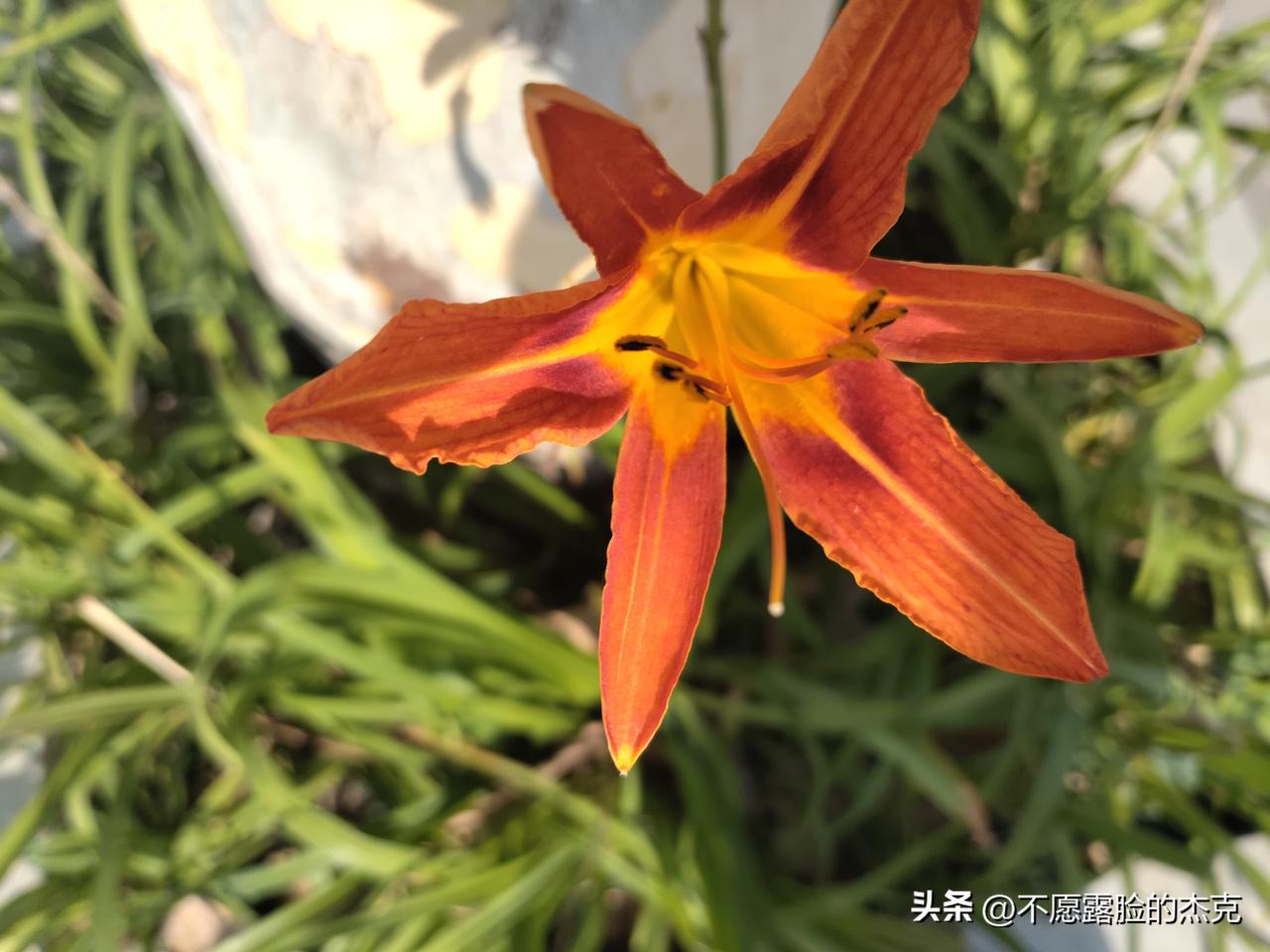 又是崭新的一天
一天好心情
健身
写作
投资
助人