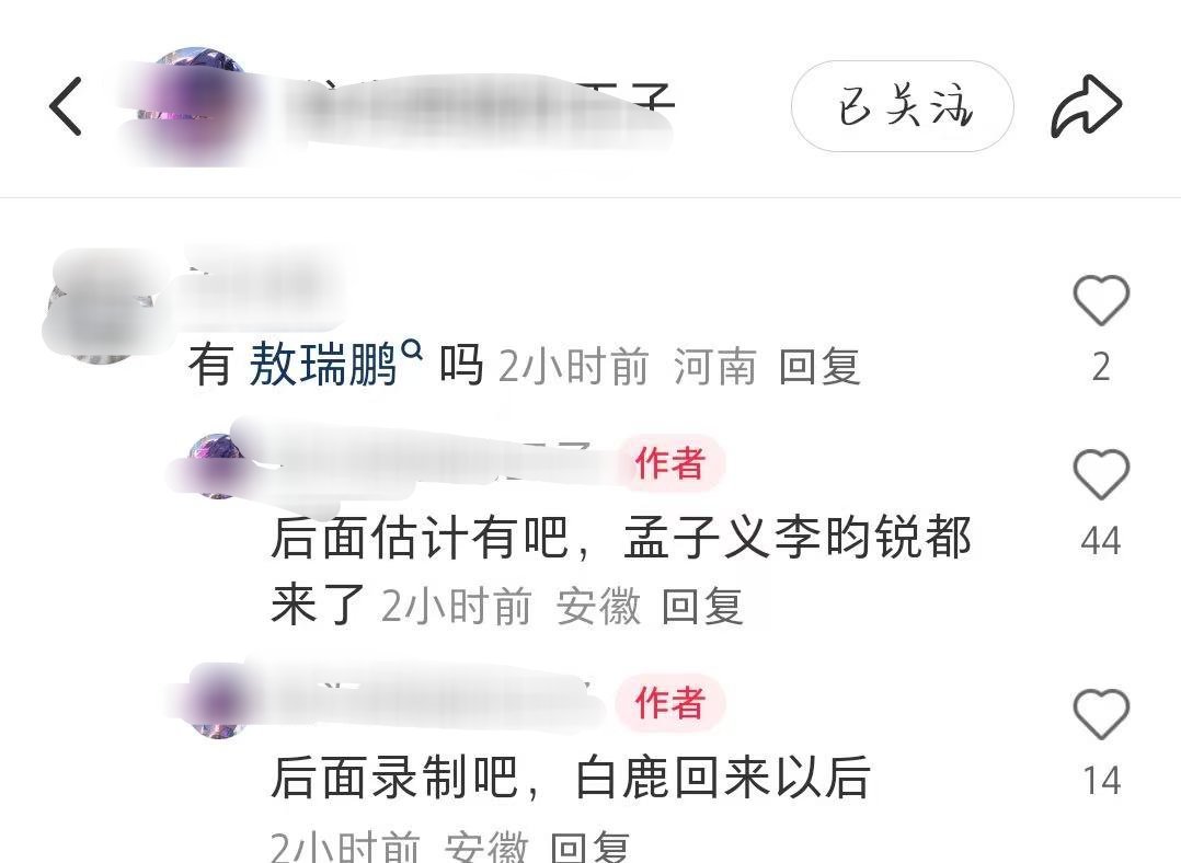 柏鲁回来以后 