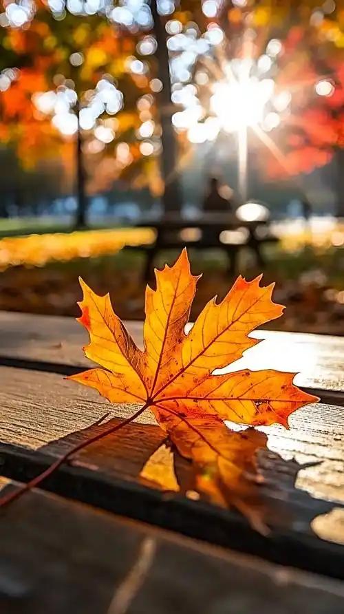 小雪过了，天还暖。
十一月底，短袖出门，太阳底下直冒汗。
 
往年这时候，风刺骨