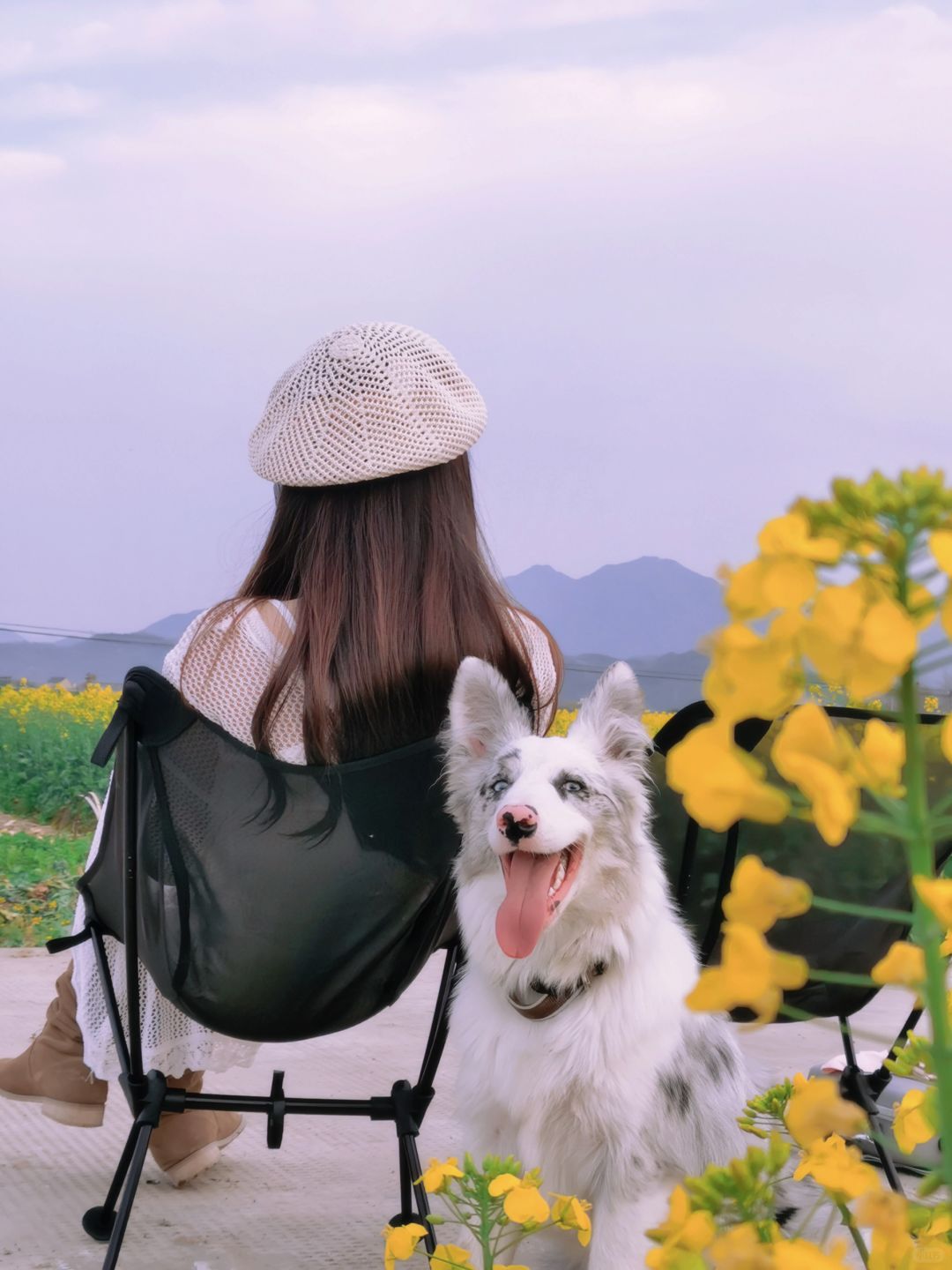 不输婺源油菜花️❗️杭州1h开车可达富阳包家