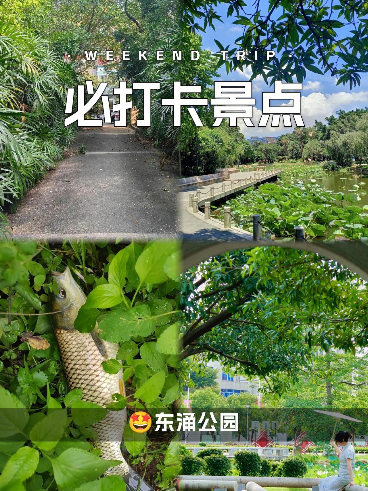 🌿东涌公园｜本地人私藏的天然氧吧

作为每周打卡的宝藏公园，这里承包了我整个夏