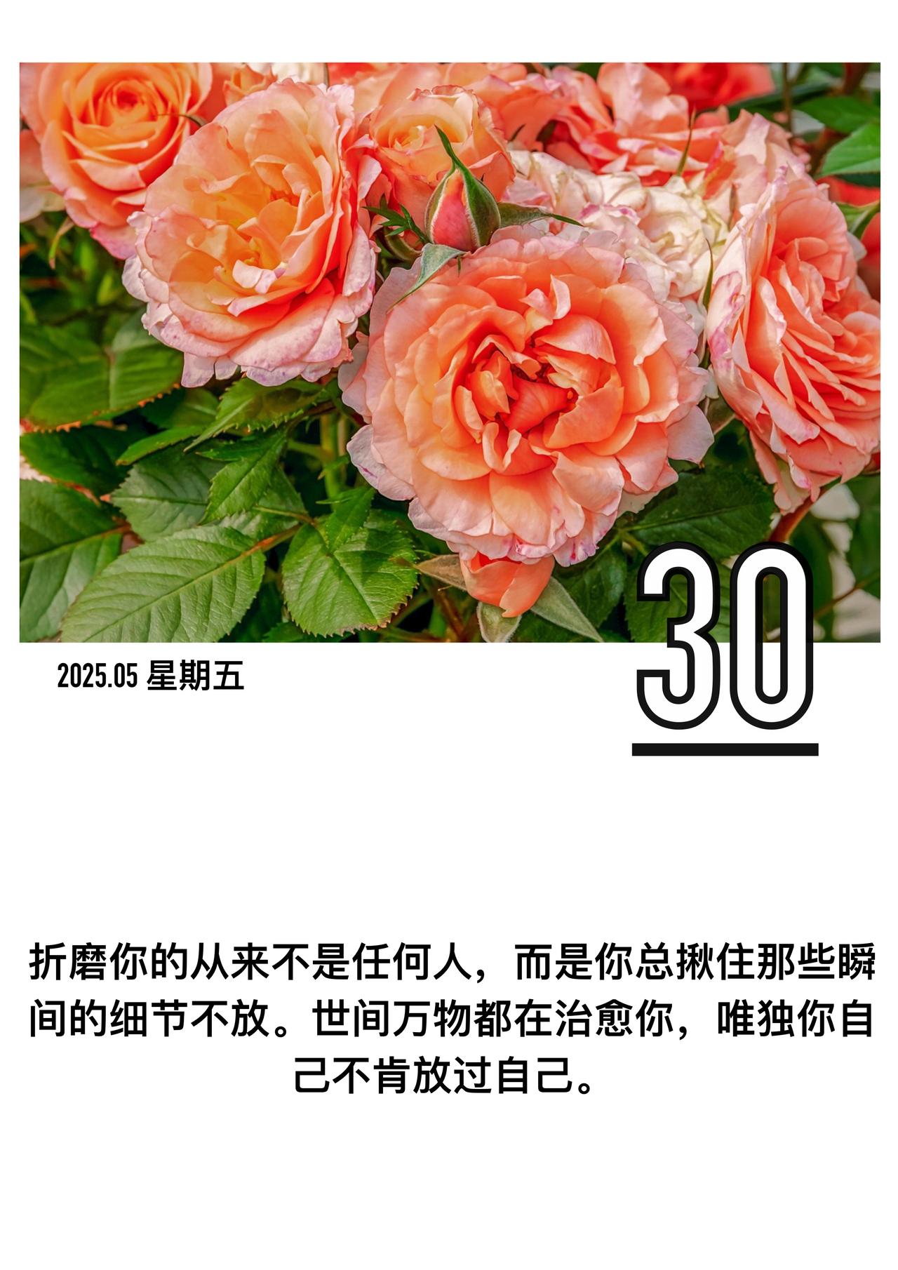 「






折磨你的从来不是任何人

而是你总揪住那些瞬间的细节不放

世间