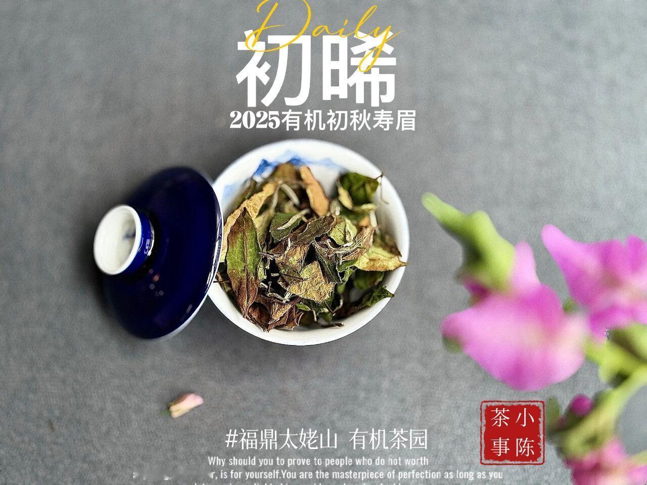 2大新手友好茶，便宜又好喝！
新手刚开始喝茶，当你看着琳琅满目的茶叶眼晕时，不妨
