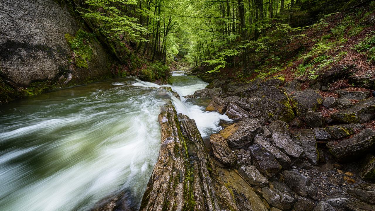 《真正的勇气：明知道会输，也还是把牌打完》
很多人对“勇气”有误解。
他们以为勇