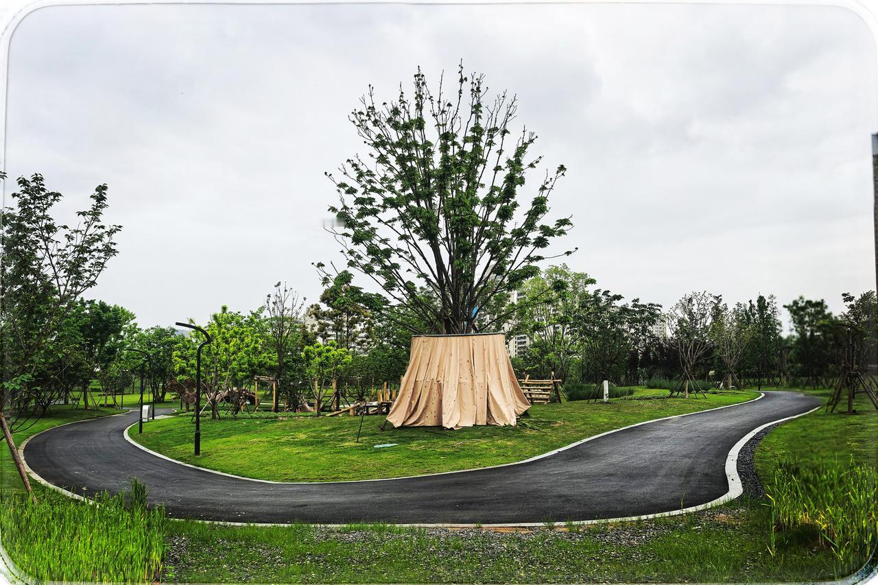 花山生态新城复活树自然乐园
在花山生态新城的绿韵中，复活树自然乐园似梦般葱茏。那