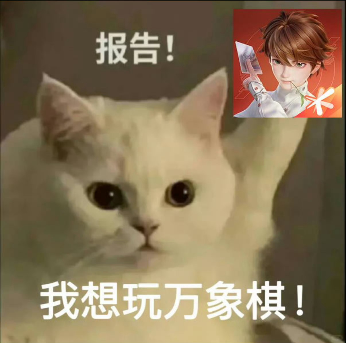 邓超官宣王者万象棋代言人邓超跟司空震同框也太有节目效果了，被电那一下我来回观看[