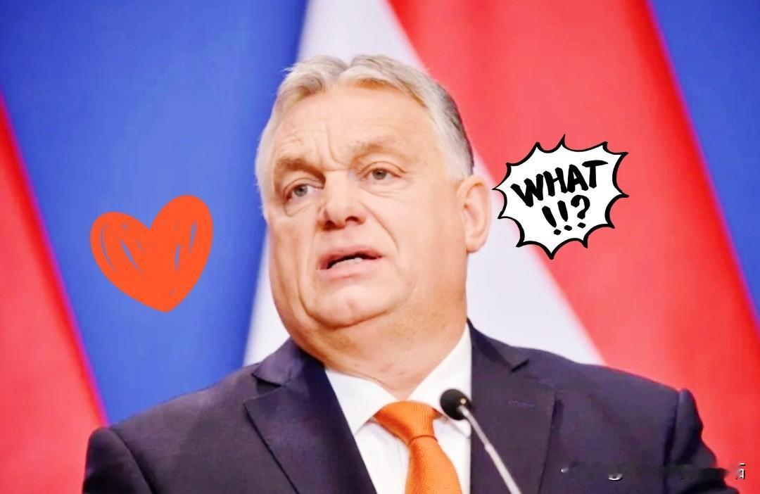 今日消息
匈牙利总理宣布了！

12月5日，匈牙利总理欧尔班突然扔出个大消息：未