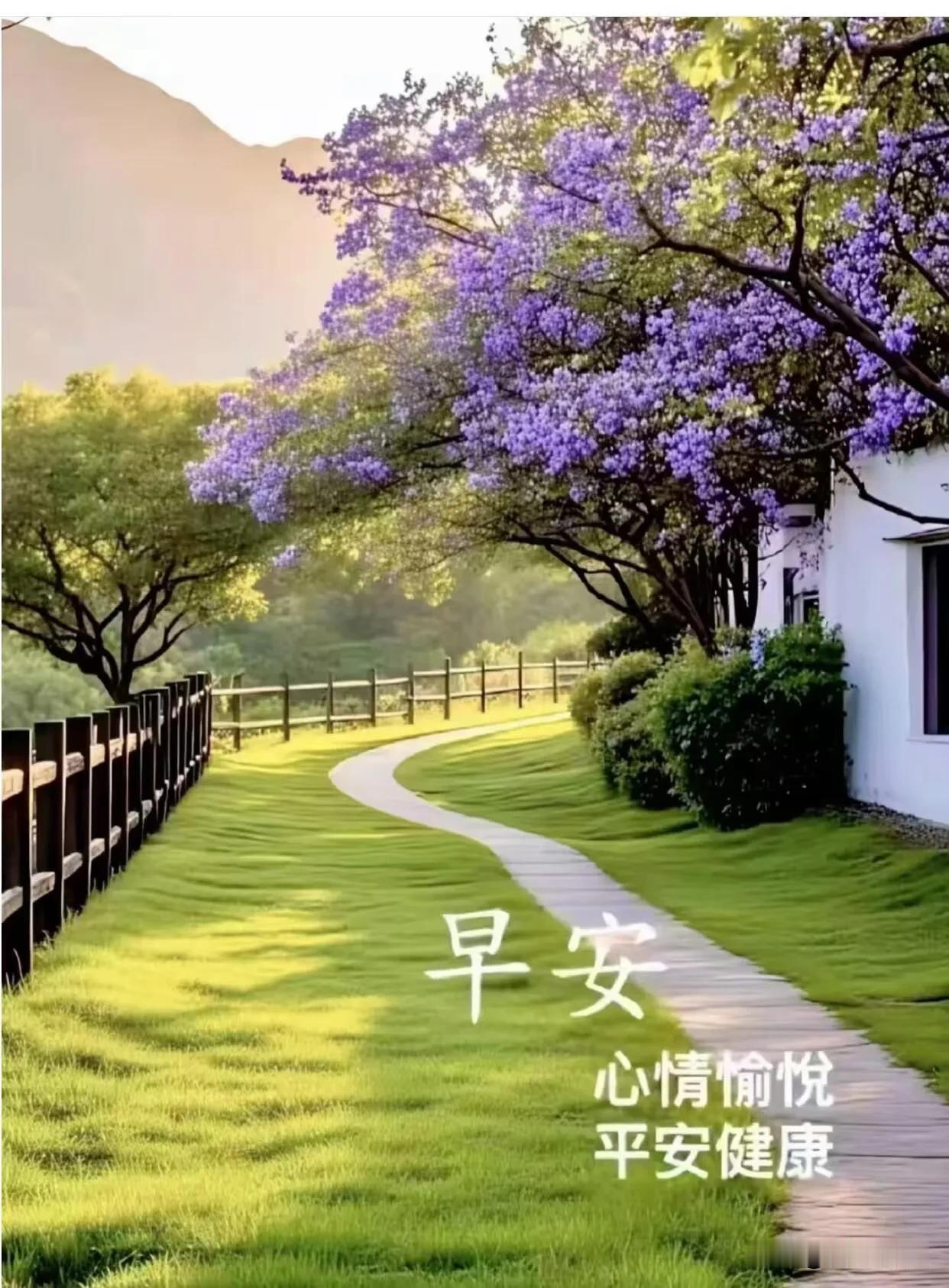  风是温柔的，花是浪漫的，愿你被春天偏爱着，永远向阳而生。