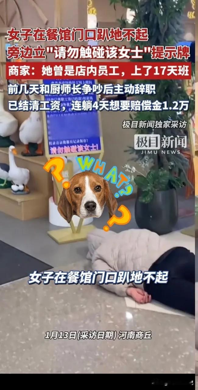 河南商丘一女子在餐馆工作了17天，因为与厨师长吵架辞了工作，工资也结清了。

