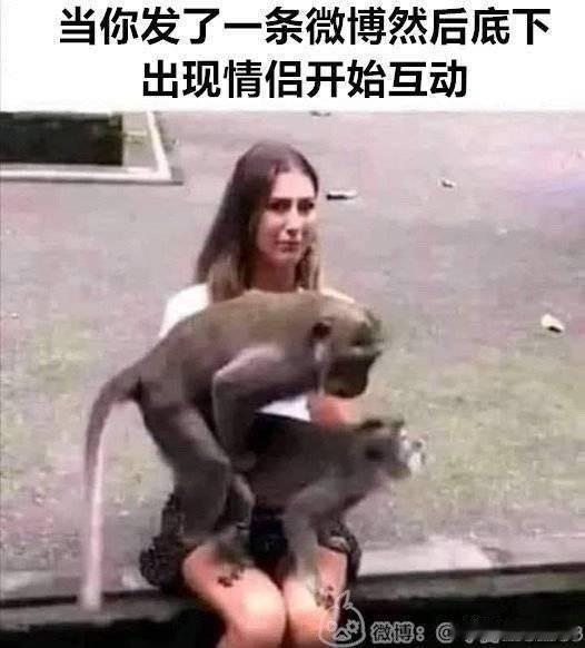 周深 2️⃣腾讯音乐由你榜🔥周深四渡主题曲上线 你曾愿 踏遍半生风雨曲折，留下