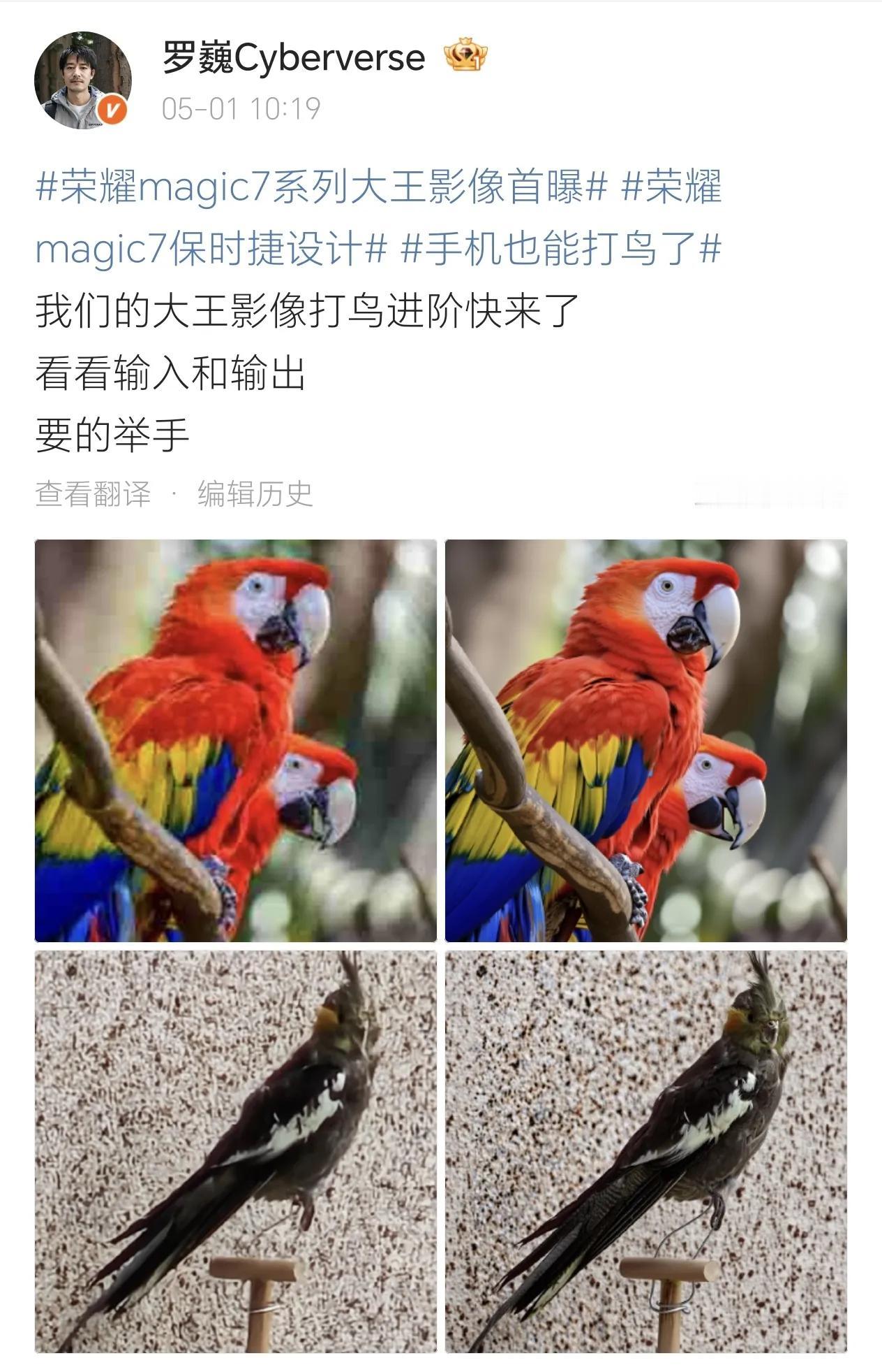 难以置信！荣耀magic7 RSR这大王影像的成像效果未免也太离谱了吧[捂脸]