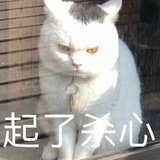茂爱谈体育
