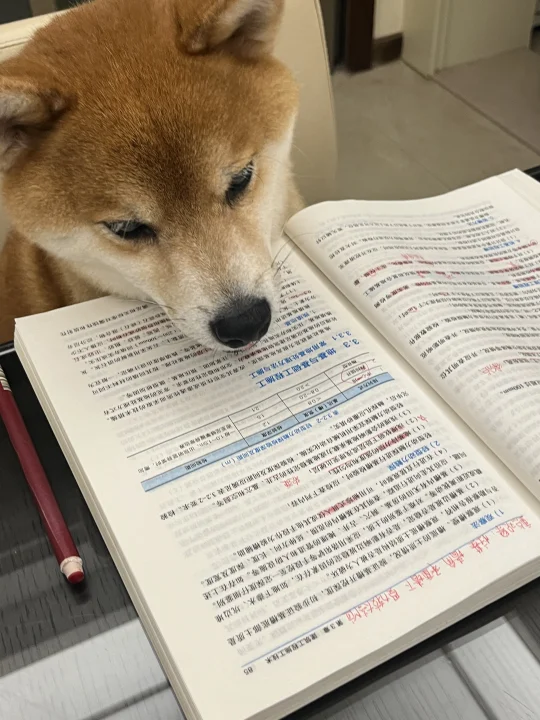 孩子半夜还在学习，能上清华吗？？！