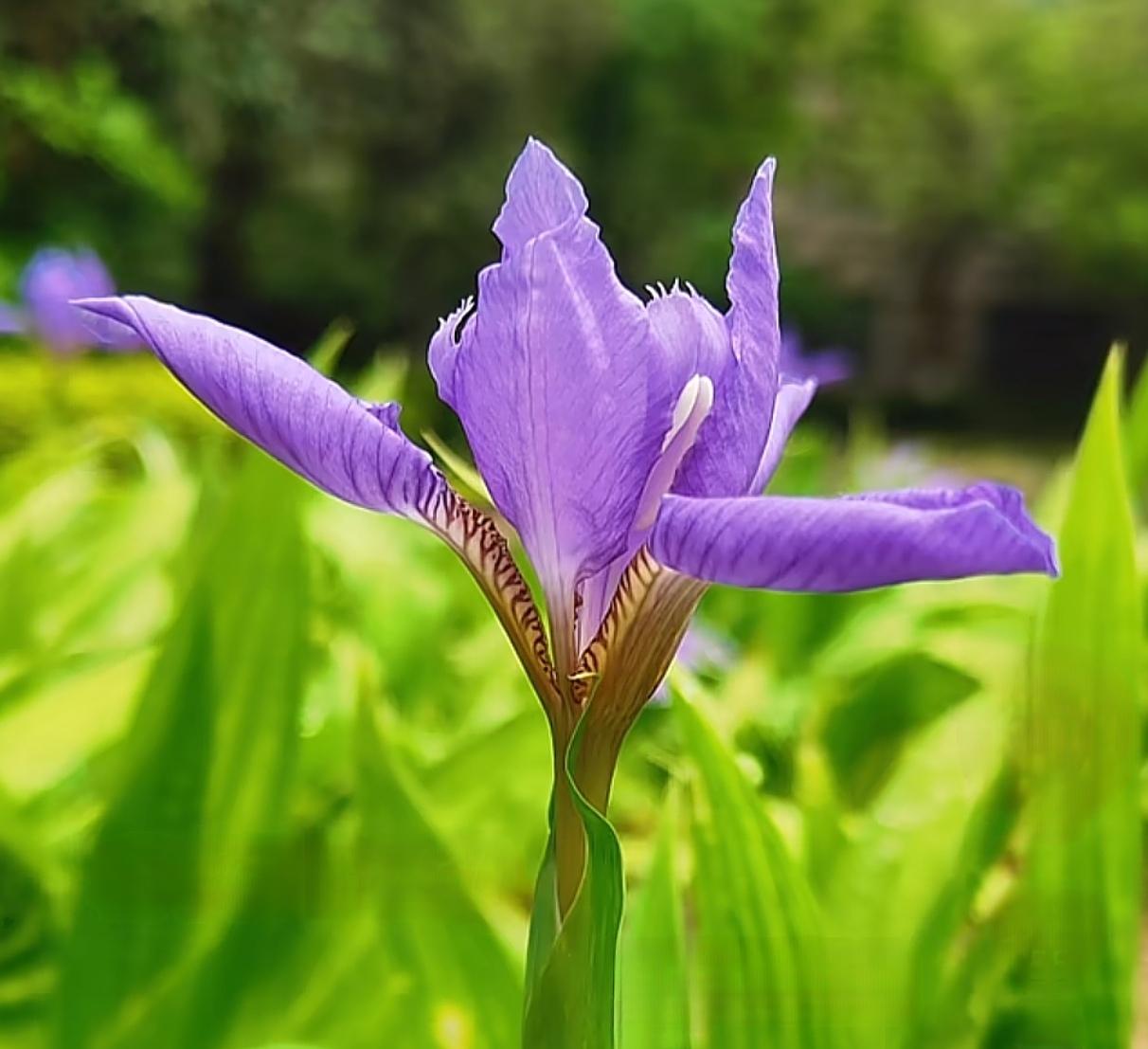 今天A股收评，下周展望。   
    2026年4月17日这股市收盘情况挺有意